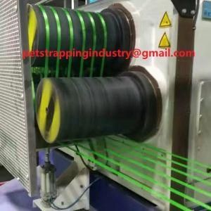 Pet Plastic Straps/Polyester Plastic Strapping Manufacture 1608 Fixed Cargo