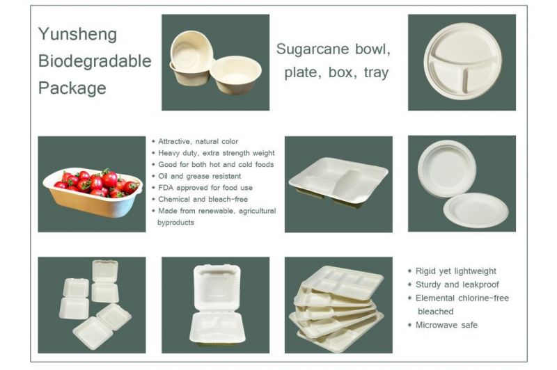 Microwavable Disposable Sugarcane/Wheat Straw/Bamboo Pulp/Firber 100% Compostable Tableware