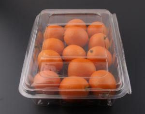 Transparent Container Pet Plastic Disposable Party Fruits Tray