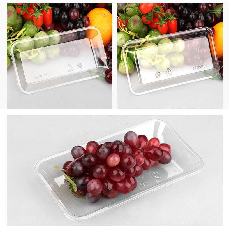 PP frozen food tray/beef tray/fish tray in supermarket or storage