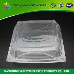 Plastic Disposable Clear Food Container with Hinged Lid