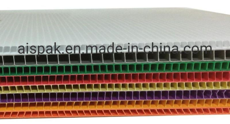 Folding Polypropylene Corex Plastic Box for Packing