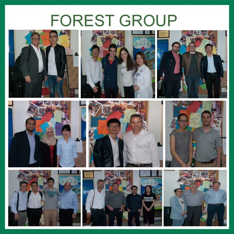 Flexo Printing Corrugated Packaging and Shipping Storage