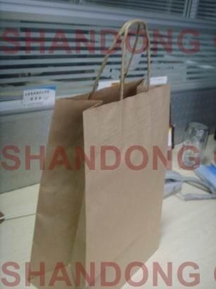 100% Eco-Friendly Paper Bag Art Paper/Cardboard with Custom Logo Printed