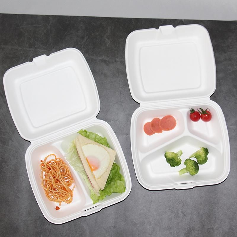 Eco Compostable 100% Biodegradable Envases Takeaway Disposable Packing Bento Lunch Bagasse Sugarcane Pizza Box