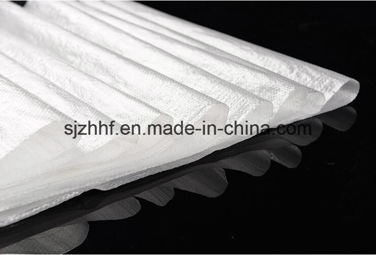 High Quality Transparent PP Woven Bag for Packing Rice