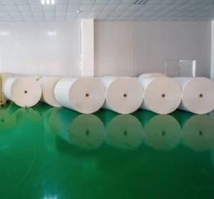 Single PE Coated Paper Cup Paper for Paper Cups in Roll /Sheet