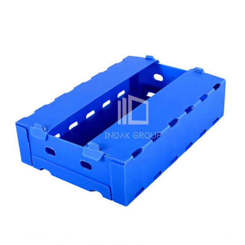 Customized Polypropylene Hollow Sheet Box