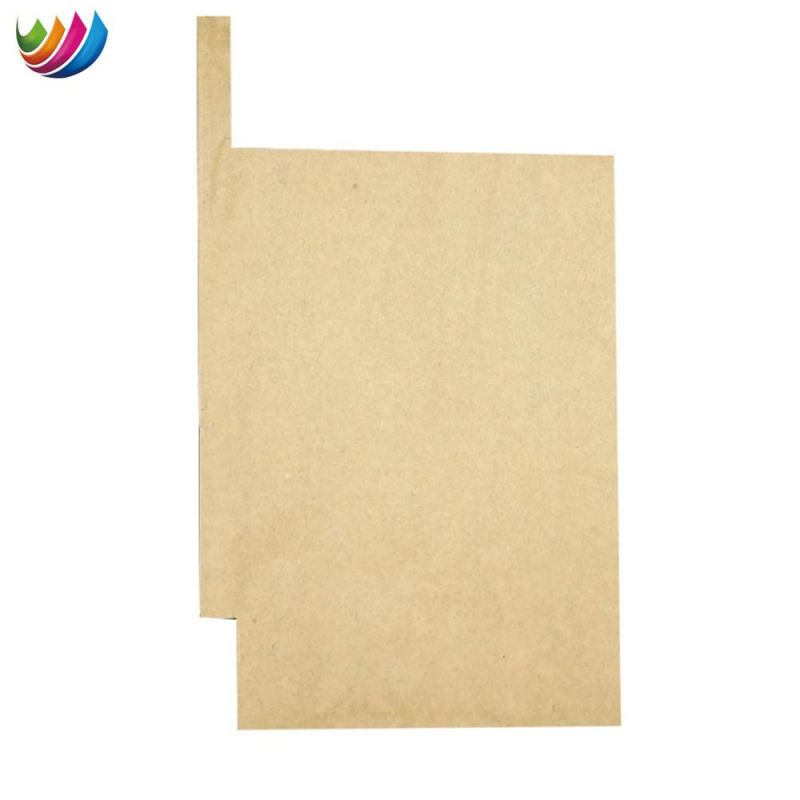 China Manufacturer Mango Paper Cover Growing Protection Paper Bag