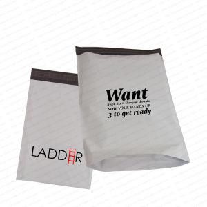 Printed Extendable TNT DHL EMS FedEx Plastic Mail Bags Poly Shipping Bags