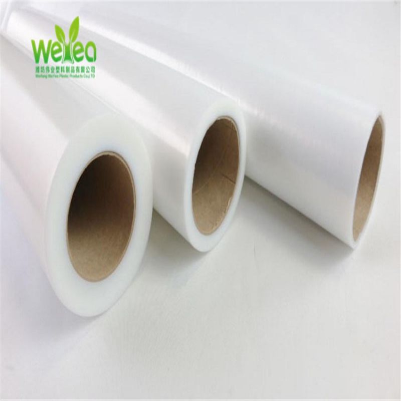 HDPE/LDPE/PE Plastic Disposable Food Produce Bags