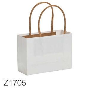 Z1705 2019 New Design Logo Made Recyclable Color Kraft Paper Bag with Factory Price