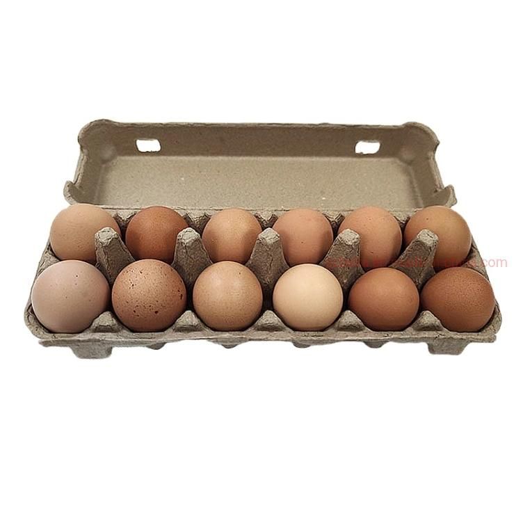 Wholesale Biodegradable Pulp Egg Tray with 12 Holes Brown Corrugated 1 Dozen Pulp Egg Carton