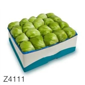 Z4111 Lettuce Carton Box Paper Shipping Custom Printing Corrugated Fruit Carrying Carton Box