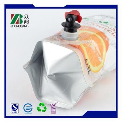 Stand up Food Packaging Bag in Box Liquid Packaging Bag