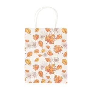 Color Printing Twisted Handle Kraft Paper Carrier Bags