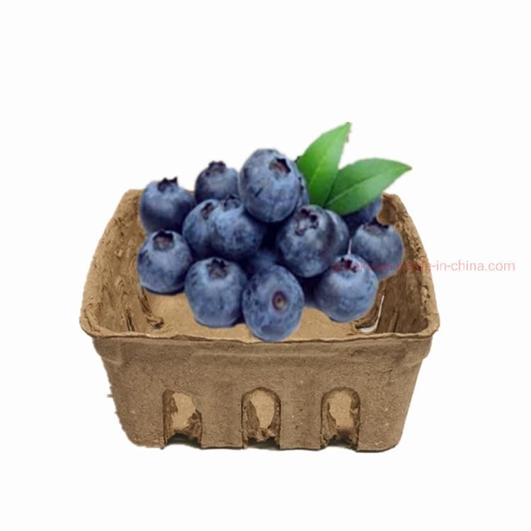 Paper Fruit Punnet Pulp Vegetable Box Mushroom Punnet Packaging Tray Strawberry Blueberry Corrugated Fruit Container
