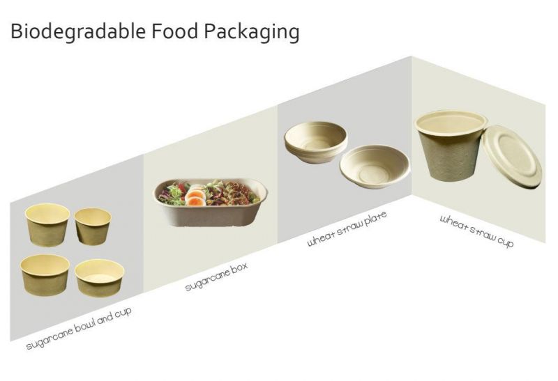 Sugarcane Fibers Bagasse Compostable Take out Food Containers