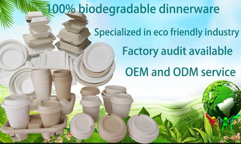 Restaurant Compostable Take out Box Disposable Containers with Lids