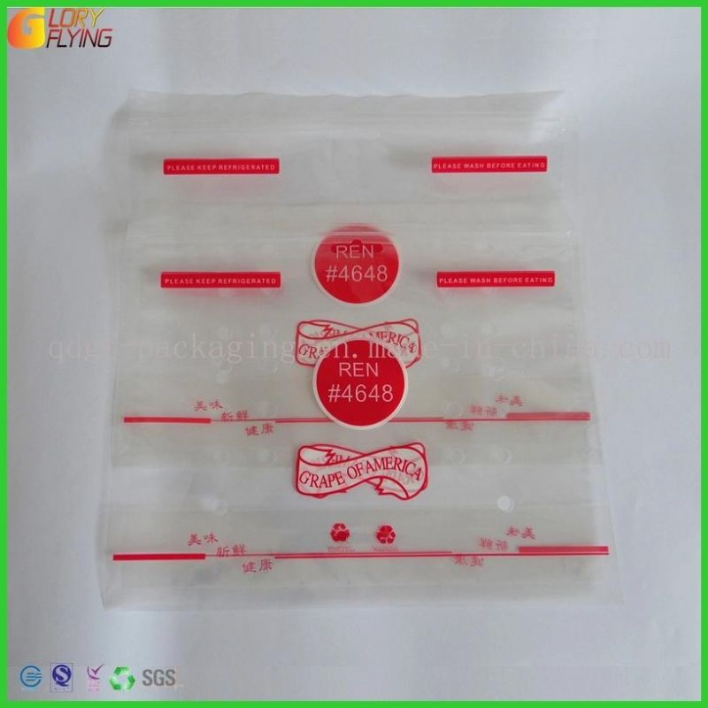 Stand up Fresh Fruits Plastic Food Packaging Bag/Zipper Bag with Perforation