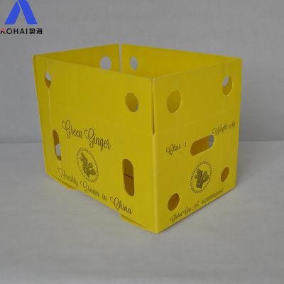 Box of PP Hollow Sheets Building Materia Corrugated Plastic PP Hollow Sheet