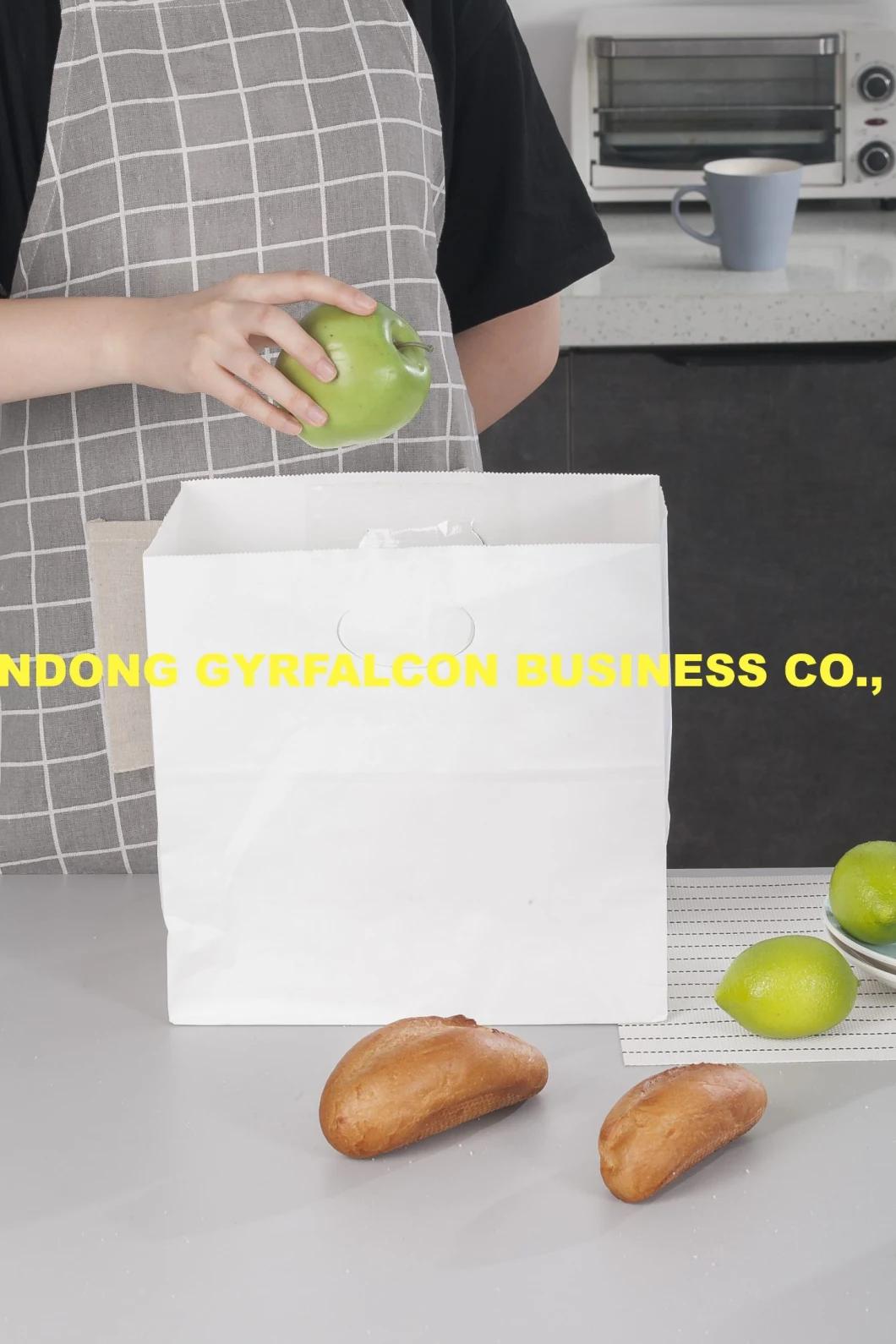 Factory Direct Supply Customization Biodegradable Packaging Paper Bag OEM