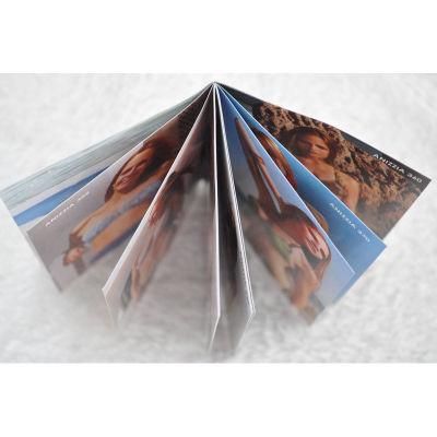 Rich Colorly High Printing Volume Hangtag for Apparel