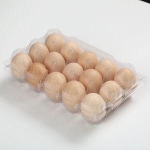 Good Quality Customized Size Plastic Egg Tray