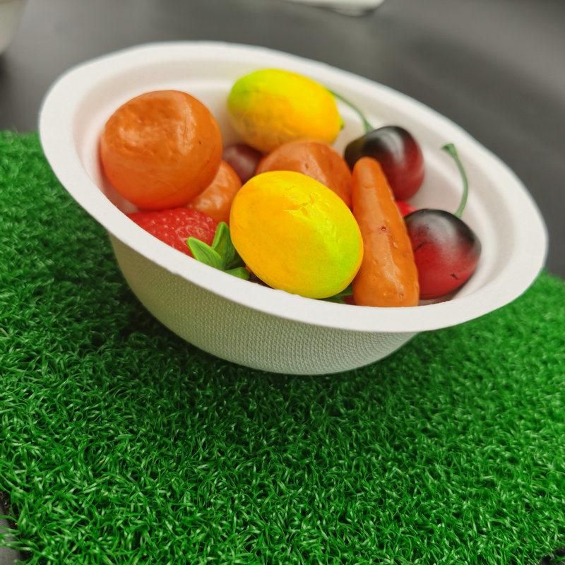 Sugarcane Bowl with High Quality