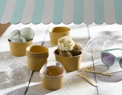 8oz Ice Cream PE Lined Inside &amp; Outside Containers with Spoon