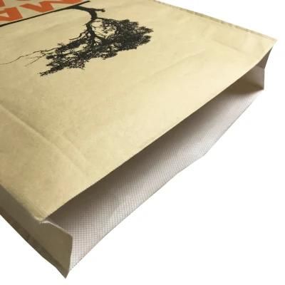 Briquette Paper Laminated PP Woven Charcoal Bag PP Bag