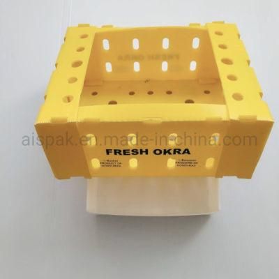 Folding Danpla Polypropylene Corrugated Box