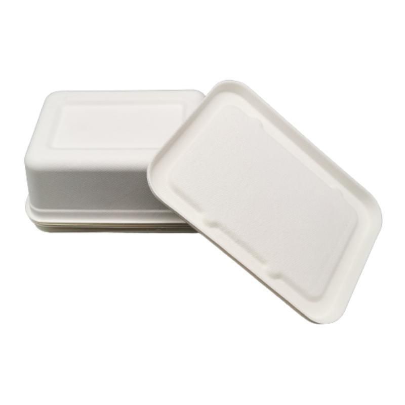 Restaurant Compostable Take out Box Disposable Containers with Lids