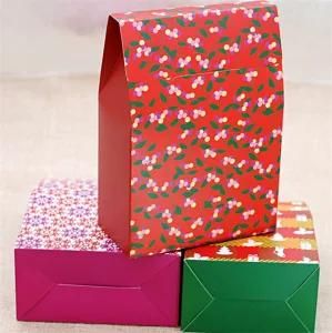Custom Colorful Gift Paper Bag