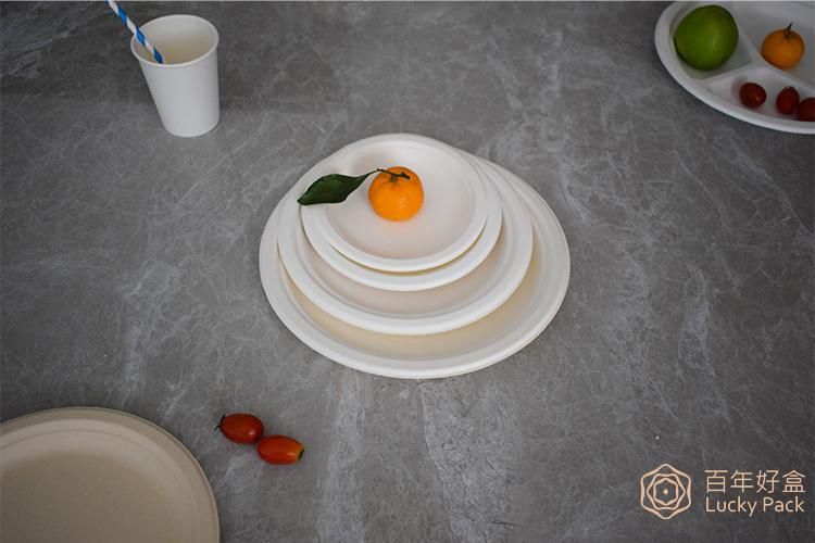 Biodegradable Compostable Tableware Disposable 9 Inch Sugarcane Bagasse Paper Plate