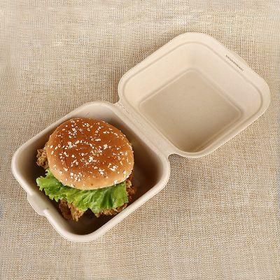Disposable Takeout Bagasse Pulp Paper Box for Hamburger Sandwich Cake Burger Lunch