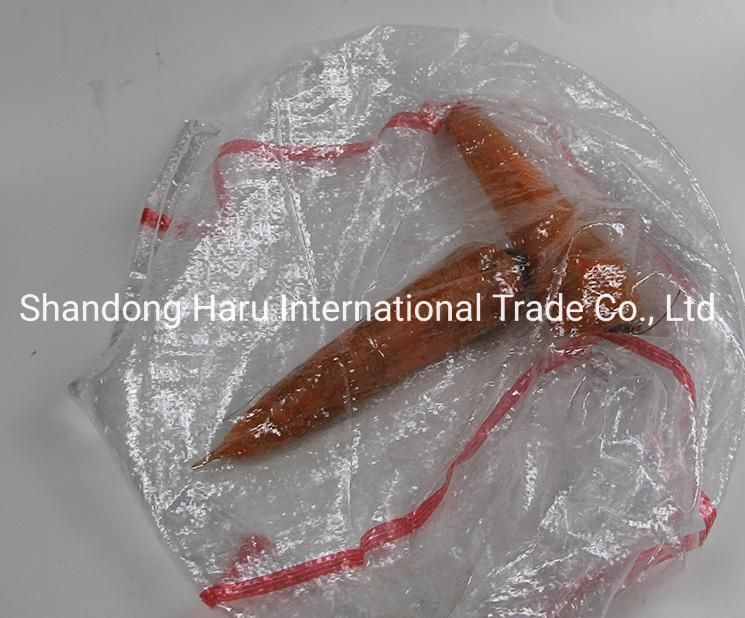 BOPP Plastic PP Woven Sacks Packing Bags with Handle