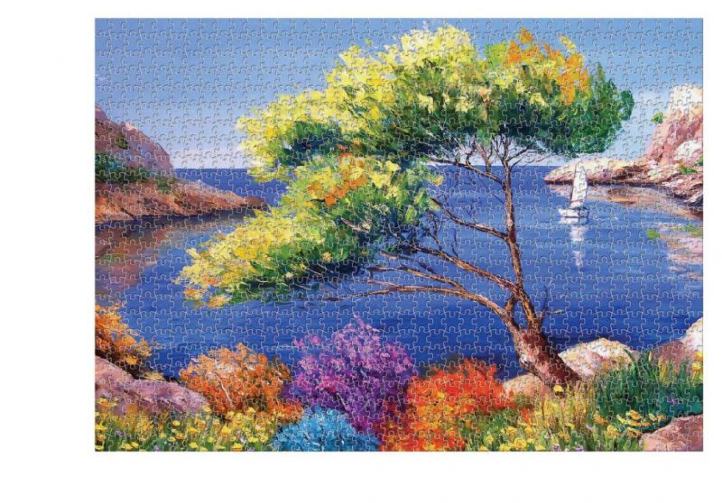 Hot Seller Indoor Toy Educational Puzzle Games Paper Adult Jigsaw Puzzle 1000 PCS
