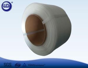 Strapping Polyester Cord Band Supplier From Dongguan