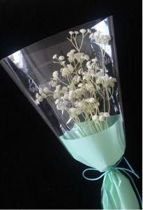 100% Compostable PLA Clear Flower Wrapping Film and Bags