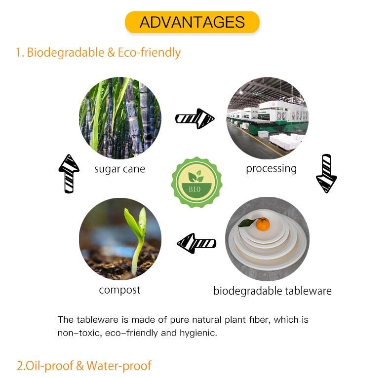 Biodegradable Tableware