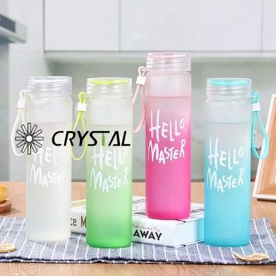 480ml Wholesale Top Grade Beverage Glass Water Bottle for Gift on Hot Sale