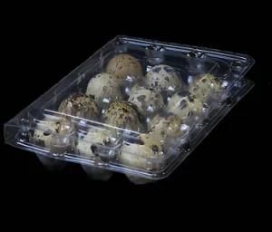 High Quality Disposable Clear 12 Holes Clamshell Plastic Quail Egg Tray Packaging Box