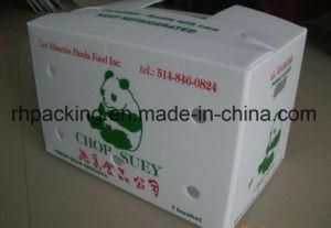 PP Polypropylene Fruit and Vegetable Packing Box with Printing/Folding Box 3mm 4mm 5mm