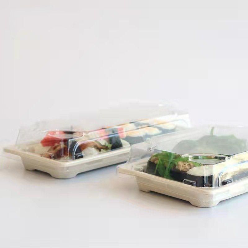 to Go Packaging Food Trays and Boxes