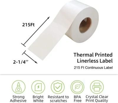 80g Top Coated Thermal Linerless Label Custom Size for Digi Bizerba Fluence Electronic Scale
