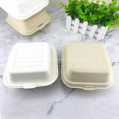 Disposable Sugarcane Paper Food Container Dessert Hamburger Box with Clamshell