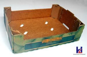 Environmental Fruit &amp; Vegetable Corrugated Carton Paper packaging Packing Tray Box
