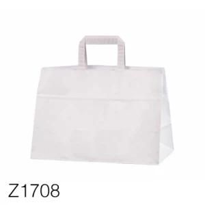 Z1708 Kraft Paper Bag with Factory Price Recyclable Color Kraft Paper Bag