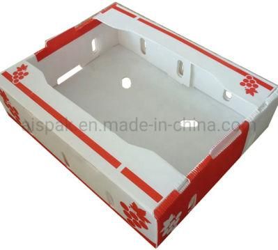 Foldable Polypropylene Corrugated Plastic Packing Box